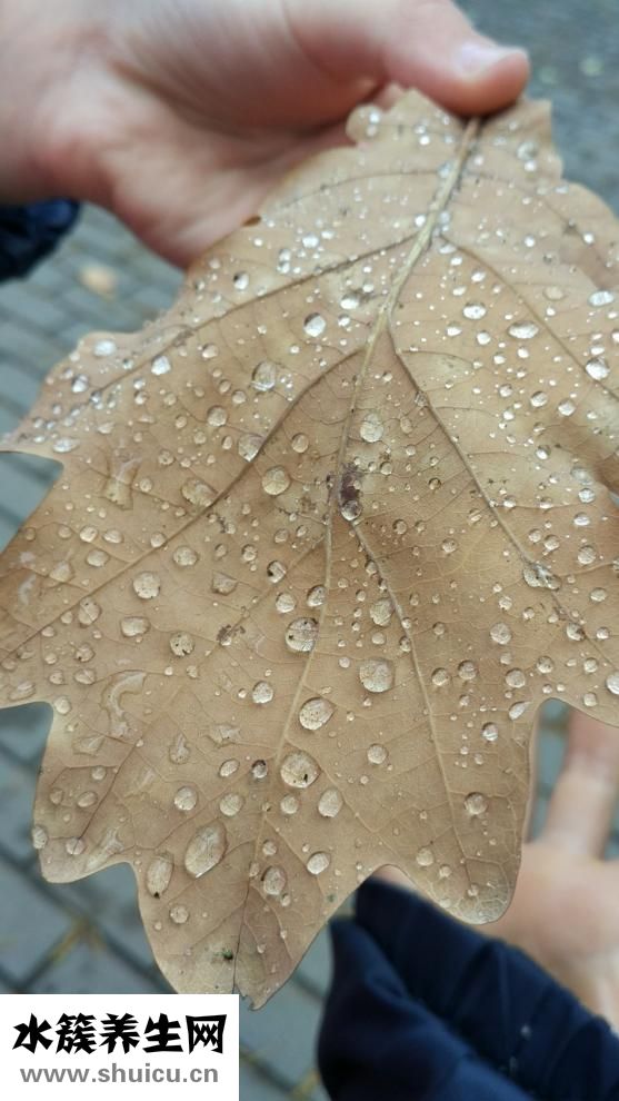 多潘立酮片是什么药