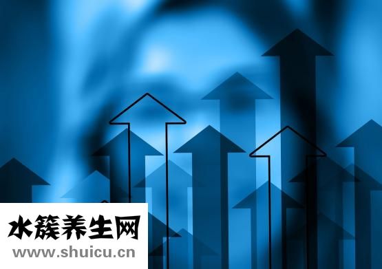 如何科学减肥