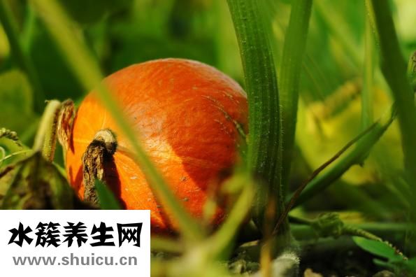 怎么快速变白