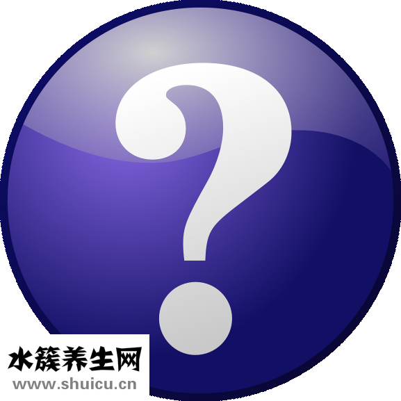头发少适合什么发型