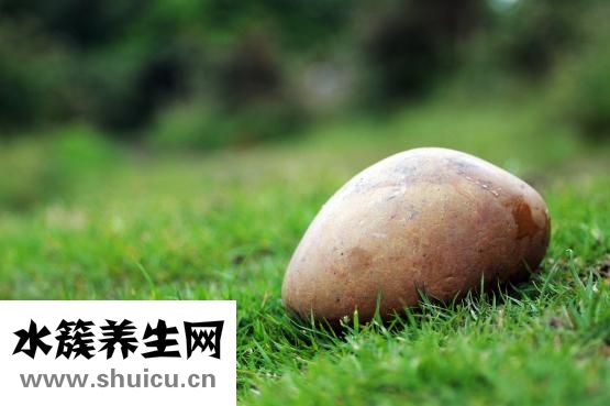 印第安人是什么人种