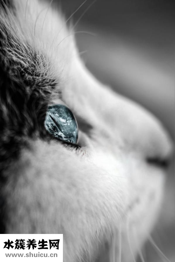 如何变成双眼皮