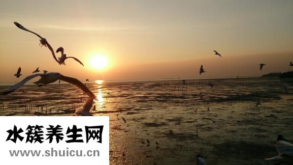 呼啦圈怎么转