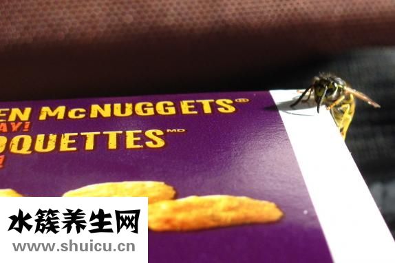 怎么做寿司