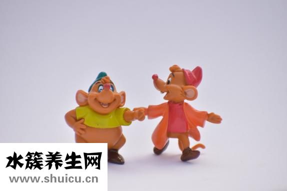 抽脂要多少费用