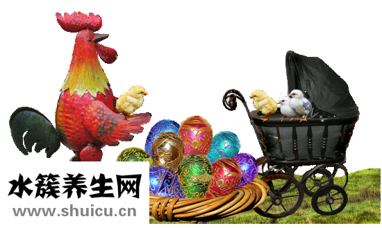 宝宝吃什么补钙