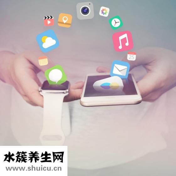 培根是什么