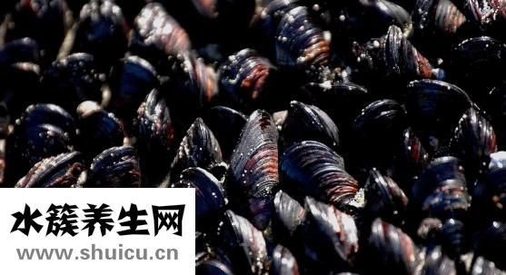 感冒吃什么好