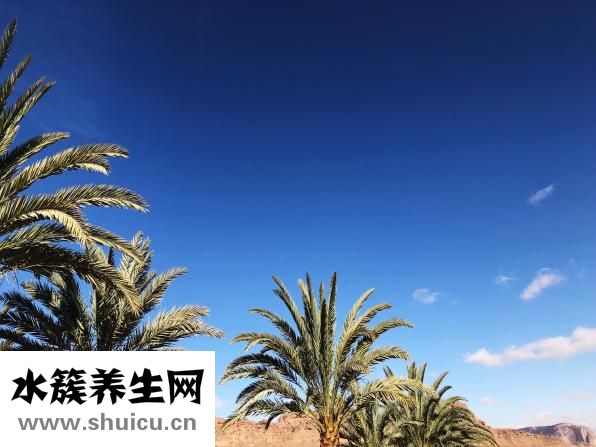 手掌脱皮是怎么回事