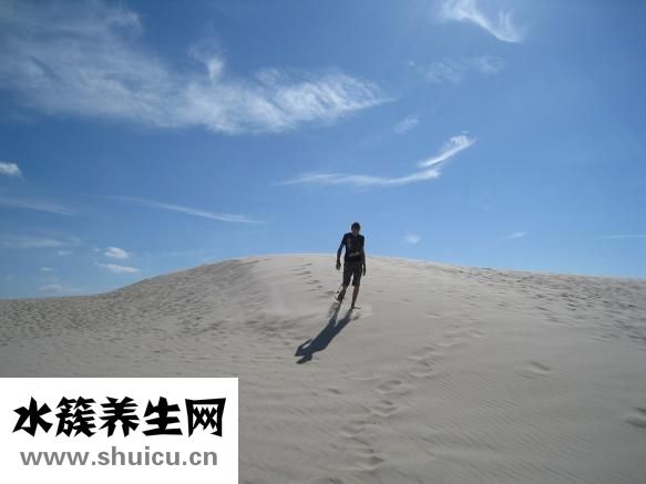如新怎么样