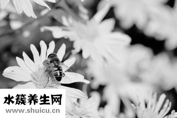 口气重是什么原因