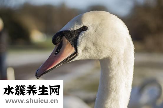 怎么消除抬头纹
