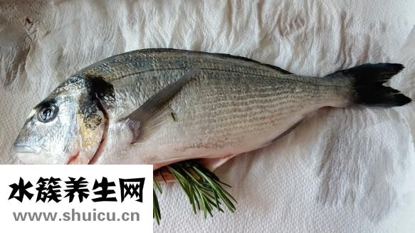 吃海鲜过敏怎么办