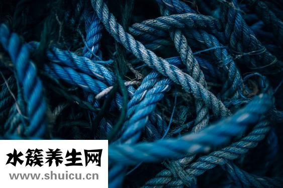 吃芒果有什么好处