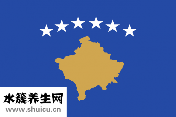 什么是扁平足