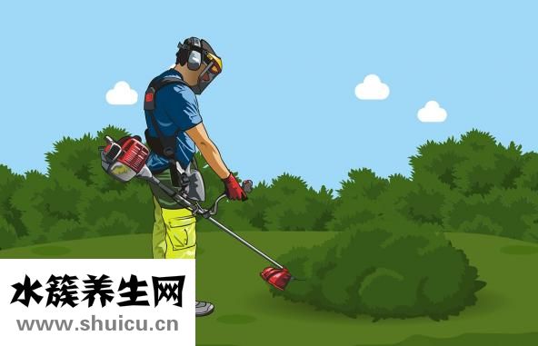 怎么快速减肥