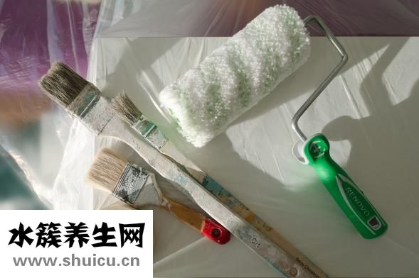 什么是支原体
