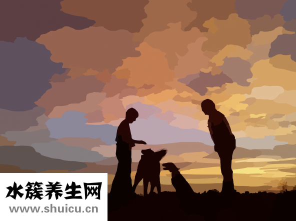 怀孕多久有反应