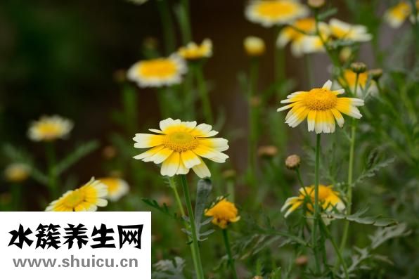 引产后多久可以同房