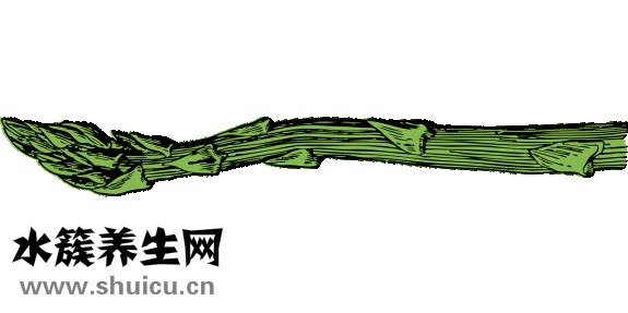 怎么做寿司
