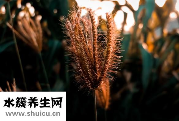 人有多少块骨头