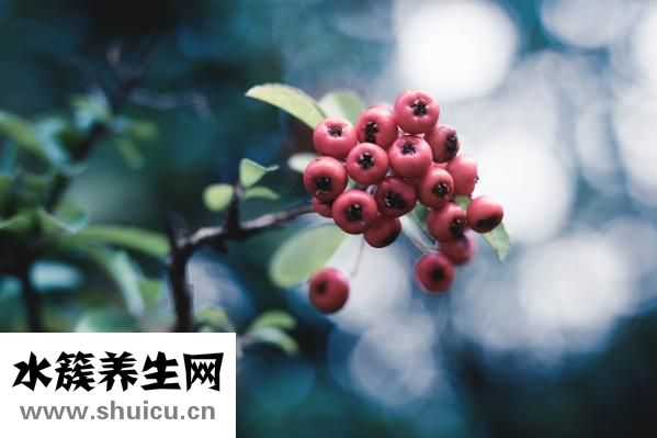 怎么做寿司