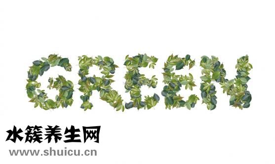 君子兰怎么养