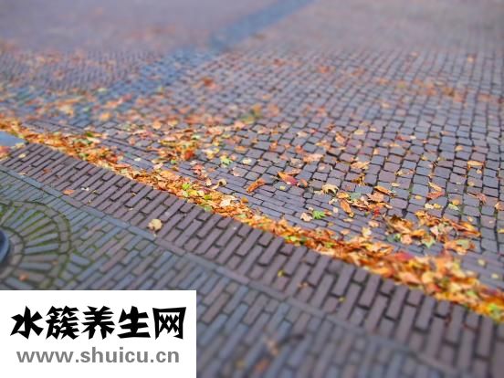 怎么炸薯条