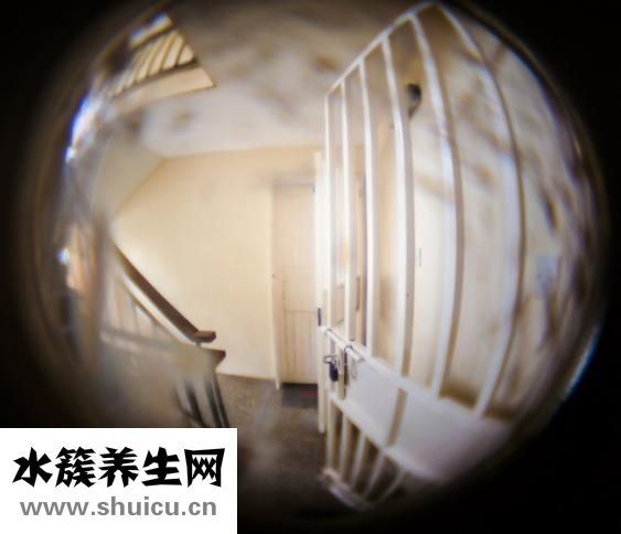 去眼袋哪里好