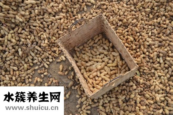八宝粥怎么煮