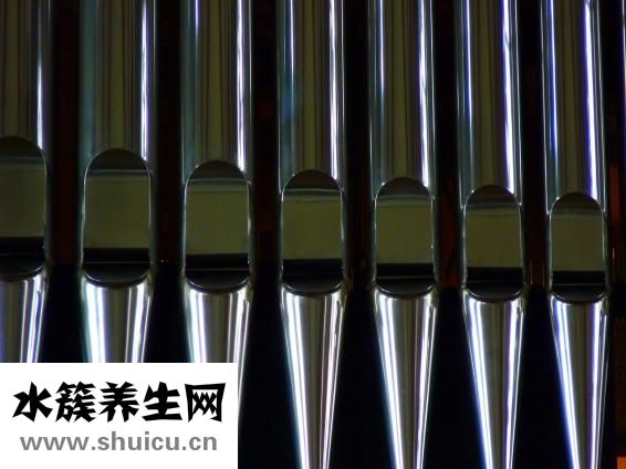 怎么养肝护肝