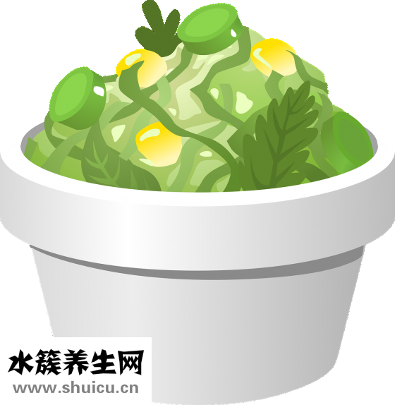 如何保养卵巢