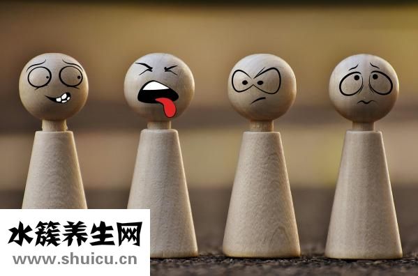 介质是什么意思