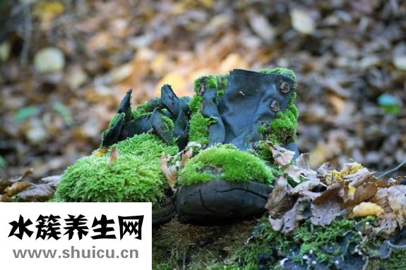 大脑供血不足怎么办