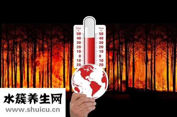 如何提高记忆力
