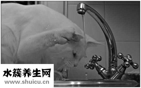 什么是扁平足