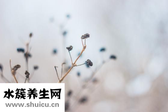 刨冰怎么做
