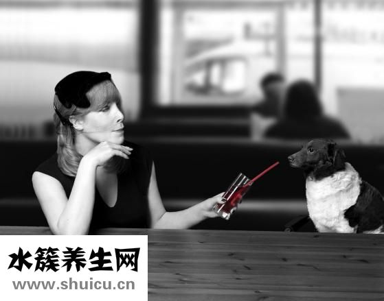 如新怎么样