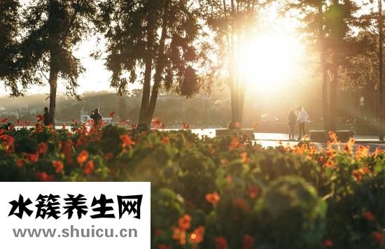 宝宝吃什么补钙