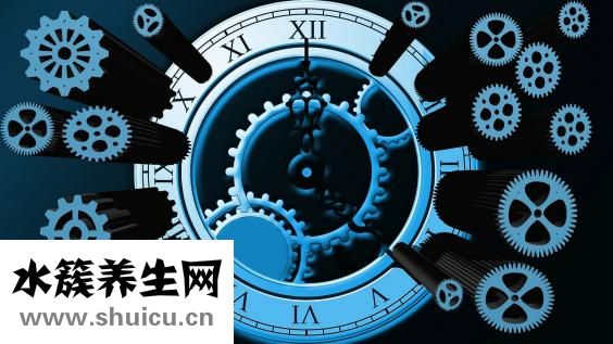 呼啦圈怎么转