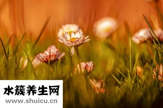 宫外孕是怎么引起的