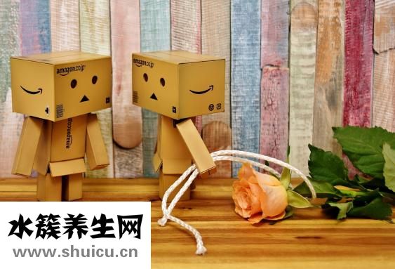 三维彩超什么时候做