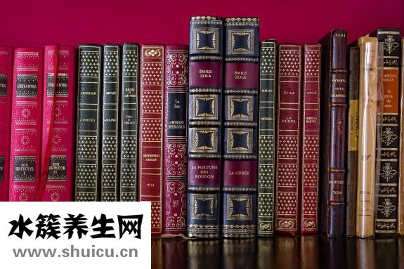兵马俑在哪里