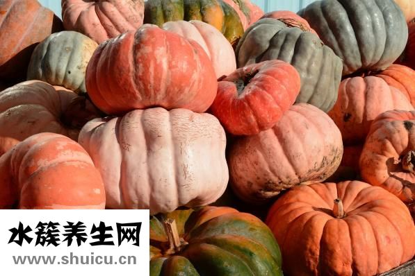 什么瓜不能吃