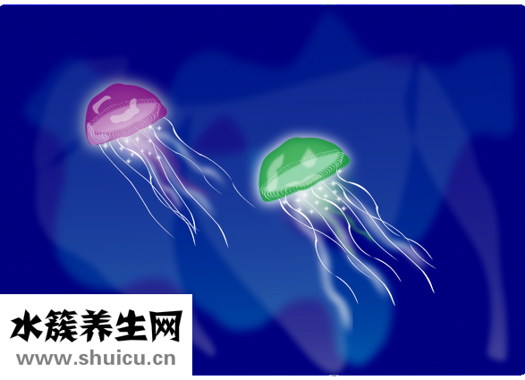 可乐鸡翅怎么做好吃