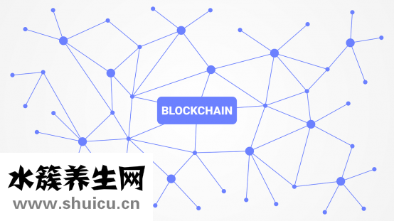 发财树怎么养