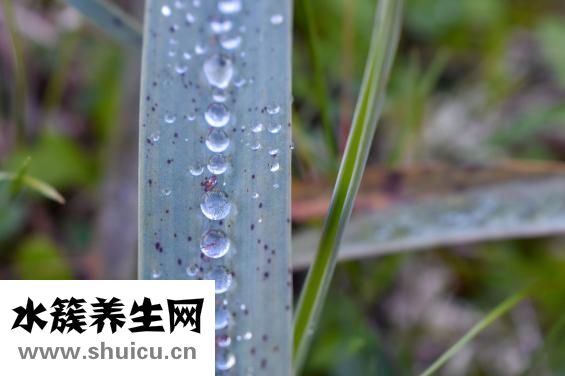 如何快速变白