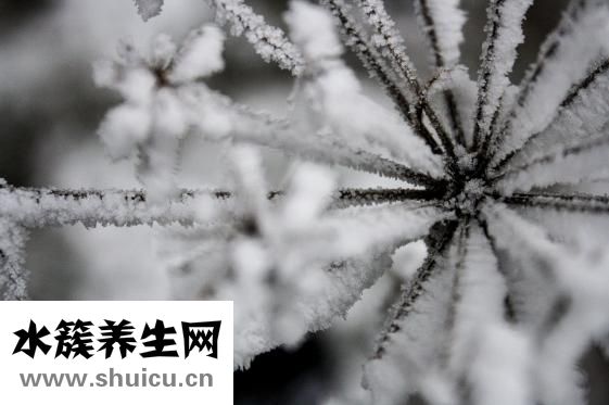 手脚冰冷是什么原因
