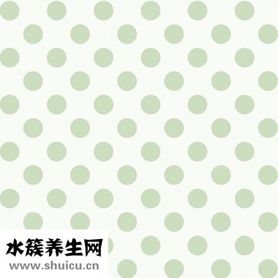 圆点怎么打