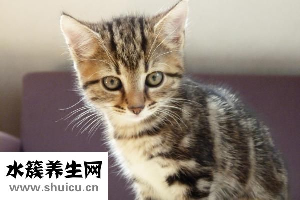 口香糖咽下去怎么办